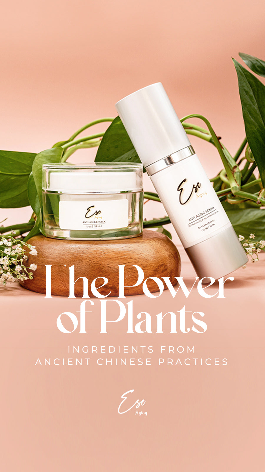 Complete Anti-Aging System Products